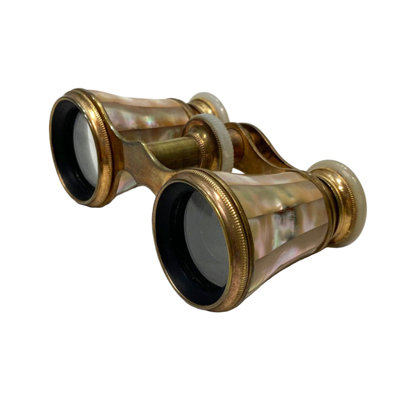 Vintage 19th Century Mother of Pearl France Groos Binoculars with Bee Stamp Case
