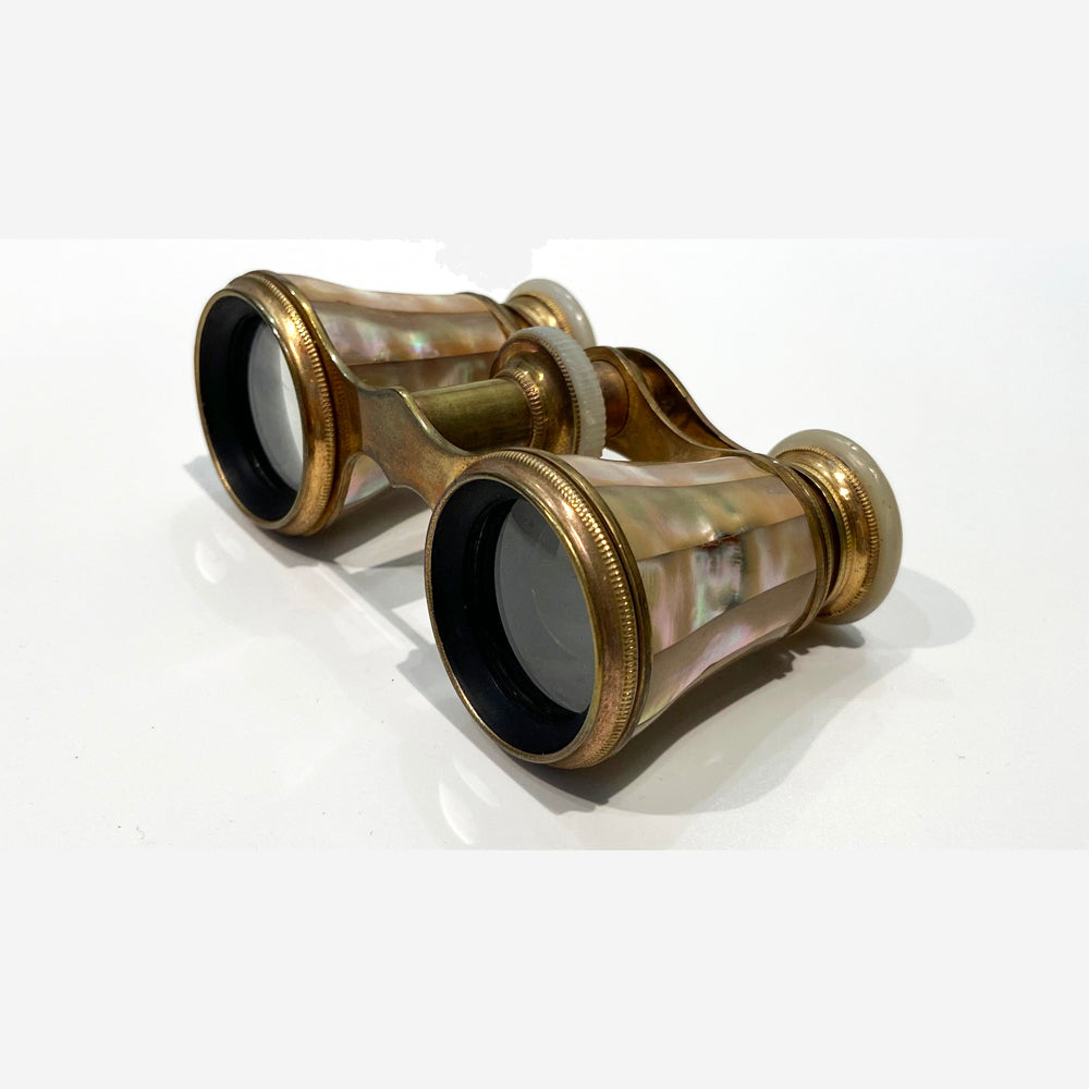 Vintage 19th Century Mother of Pearl France Groos Binoculars with Bee Stamp Case